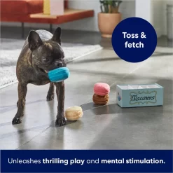 Frisco Macaron Interactive Plush Squeaky Dog Toy -Frisco 264438 PT5. AC SS1800 V1686579089