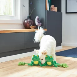 Frisco Magic Frog Plush With Rope Squeaky Dog Toy 5 Frisco Magic Frog Plush With Rope Squeaky Dog Toy -Frisco 265606 PT3. AC SS1800 V1620938889