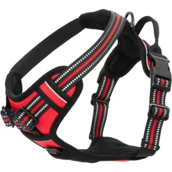 Frisco Padded Reflective Harness 10 Frisco Padded Reflective Harness -Frisco 266770 PT4. AC SS1800 V1624548897
