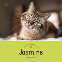 Frisco Personalized "Love" Memorial Ceramic Photo Tile With Stand, 8" X 10" -Frisco 268722 PT2. AC SS1800 V1619198218