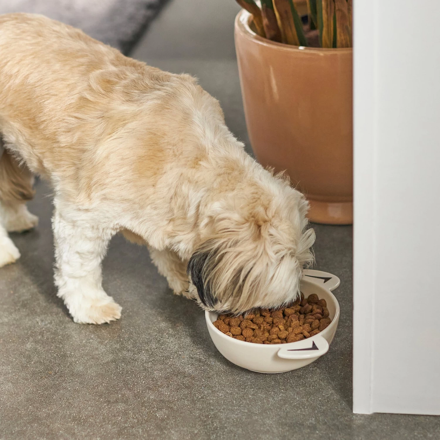 Frisco Dog Face Non-skid Ceramic Cat & Dog Bowl 3 Frisco Dog Face Non-skid Ceramic Cat & Dog Bowl - Image 3