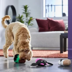 Frisco Halloween Cupcakes Plush Squeaky Dog Toy 7 Frisco Halloween Cupcakes Plush Squeaky Dog Toy -Frisco 270367 PT3. AC SS1800 V1624817674