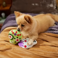 Frisco Halloween Day Of The Dead Sugar Skull Plush Squeaky Dog Toy, 2 Count -Frisco 270443 PT3. AC SS1800 V1624824826