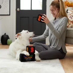 Frisco Halloween 30 Days Of Halloween Countdown Blocks Plush Squeaky Dog Toy -Frisco 270494 PT3. AC SS1800 V1624817483