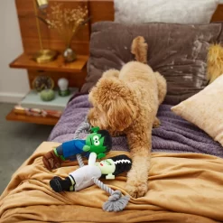 Frisco Halloween Frankenstein & Bride Plush With Rope Squeaky Dog Toy 7 Frisco Halloween Frankenstein & Bride Plush With Rope Squeaky Dog Toy -Frisco 270496 PT3. AC SS1800 V1624824775