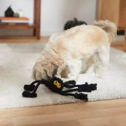 Frisco Halloween Spider Rope Dog Toy -Frisco 270504 PT3. AC SS1800 V1624825021