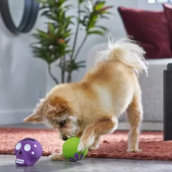 Frisco Halloween Sugar Skulls Latex Squeaky Dog Toy 6 Frisco Halloween Sugar Skulls Latex Squeaky Dog Toy -Frisco 270518 PT3. AC SS1800 V1689878507