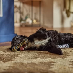 Frisco Halloween Candy Corn & Ghosts TPR Bone Squeaky Dog Toy, 2 Count -Frisco 270529 PT3. AC SS1800 V1689876508