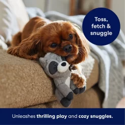 Frisco Camping Raccoon Plush Squeaky Dog Toy -Frisco 271003 PT4. AC SS1800 V1695670777
