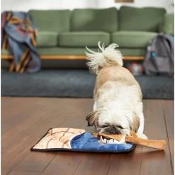 Frisco Camping Smores & Sleeping Bag Flat Plush Squeaky Dog Toy, 2 Count -Frisco 271018 PT3. AC SS1800 V1625009010