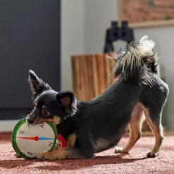 Frisco Camping Compass Plush With Rope Squeaky Dog Toy -Frisco 271020 PT3. AC SS1800 V1625008965