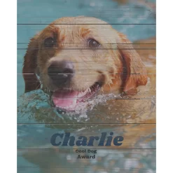 Frisco Personalized "Classic Photo" Rustic Wood Wall Decor, 16" X 20"