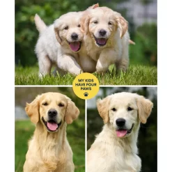 Frisco "Contemporary #1" 8 X 10 Gallery-Wrapped Canvas -Frisco 272569 PT2. AC SS1800 V1625685737