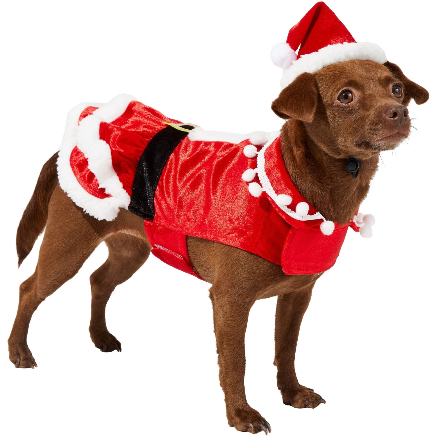 Frisco Mrs. Claus Dog & Cat Costume 1 Frisco Mrs. Claus Dog & Cat Costume