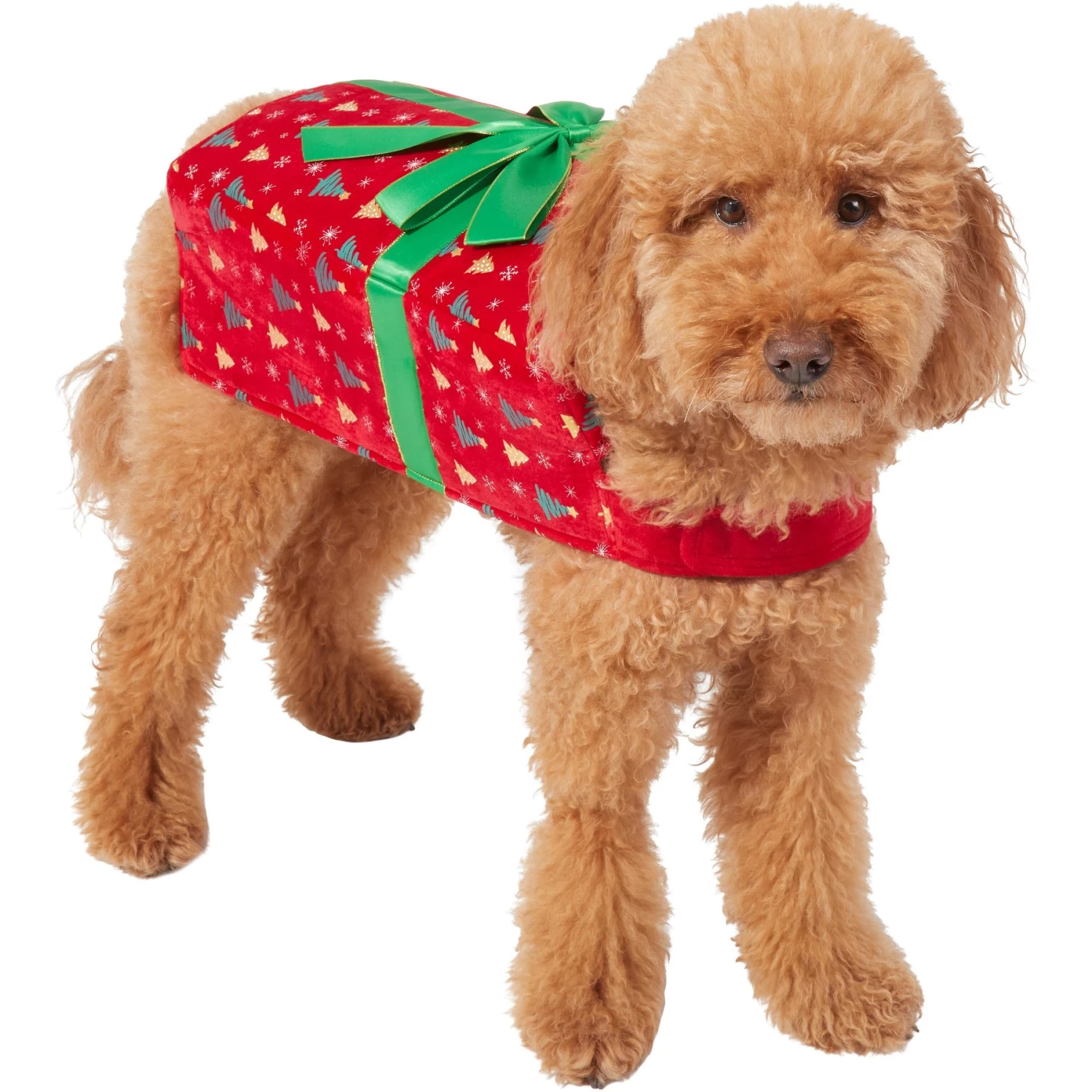 Frisco Holiday Giftbox Dog & Cat Costume 1 Frisco Holiday Giftbox Dog & Cat Costume