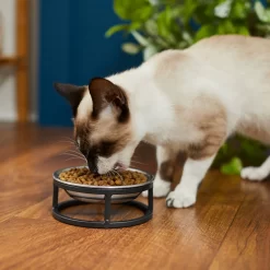 Frisco Elevated Stainless Steel Dish Cat Bowl, 1 Cup 10 Frisco Elevated Stainless Steel Dish Cat Bowl, 1 Cup -Frisco 277517 PT3. AC SS1800 V1630347977