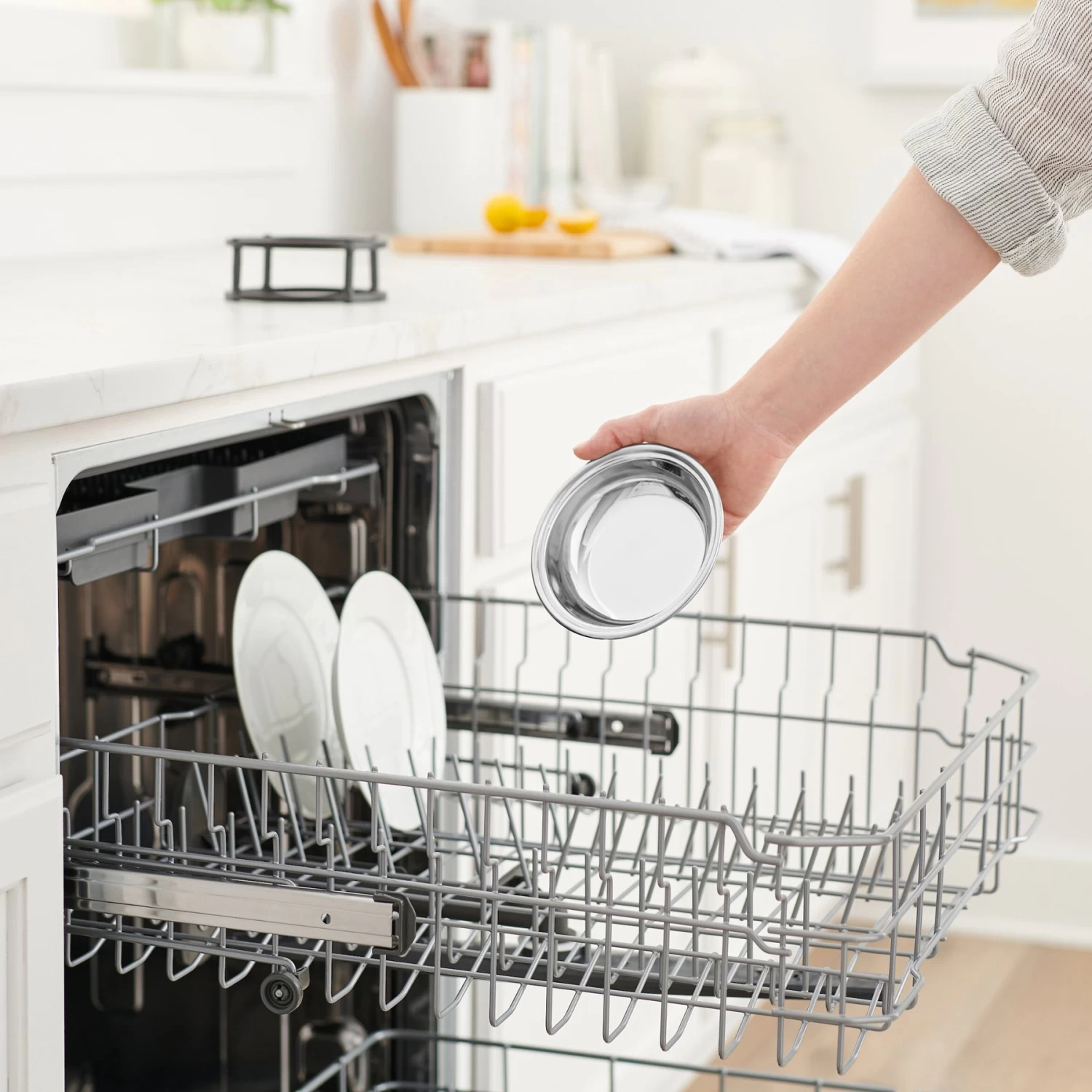 Frisco Elevated Stainless Steel Dish Cat Bowl, 1 Cup 7 Frisco Elevated Stainless Steel Dish Cat Bowl, 1 Cup - Image 7