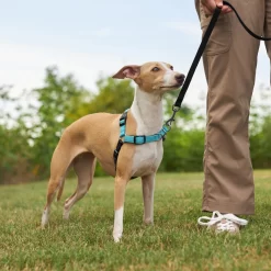 Frisco Padded Reflective No Pull Harness -Frisco 277892 PT4. AC SS1800 V1629816716