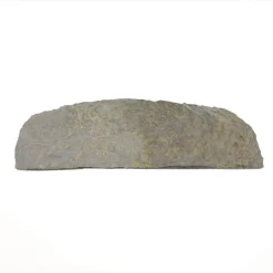 Frisco "Forever In Our Hearts" Personalized Dog & Cat Memorial Garden Stone -Frisco 287029 PT4. AC SS1800 V1645642901