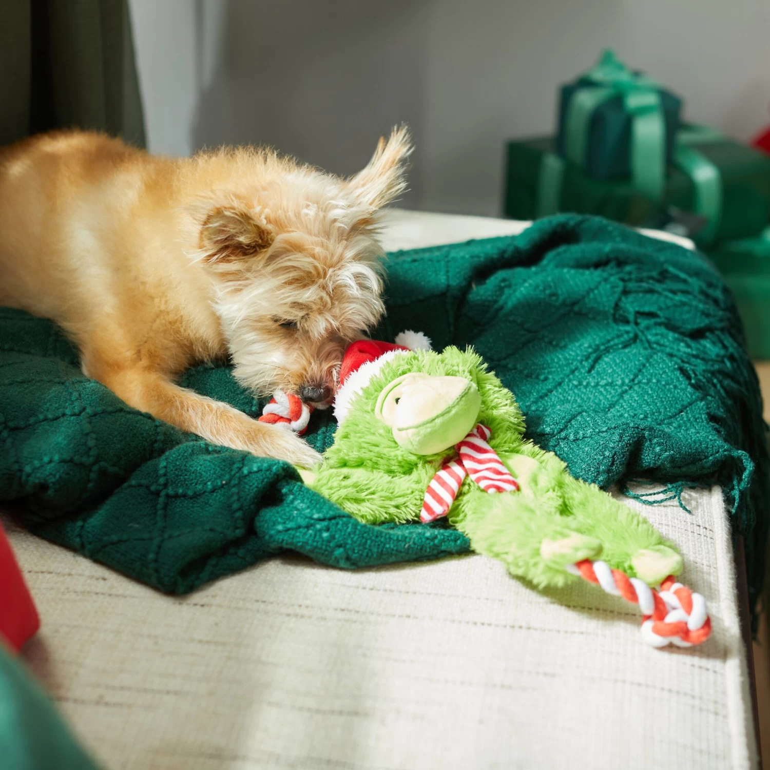 Frisco Holiday Monkey Plush With Rope Squeaky Dog Toy 4 Frisco Holiday Monkey Plush With Rope Squeaky Dog Toy - Image 4