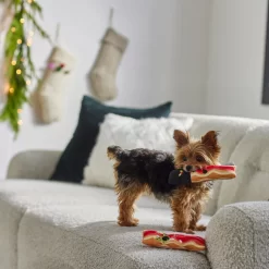 Frisco Holiday Bacon Plush Squeaky Dog Toy, 2 Count -Frisco 287143 PT3. AC SS1800 V1632774888