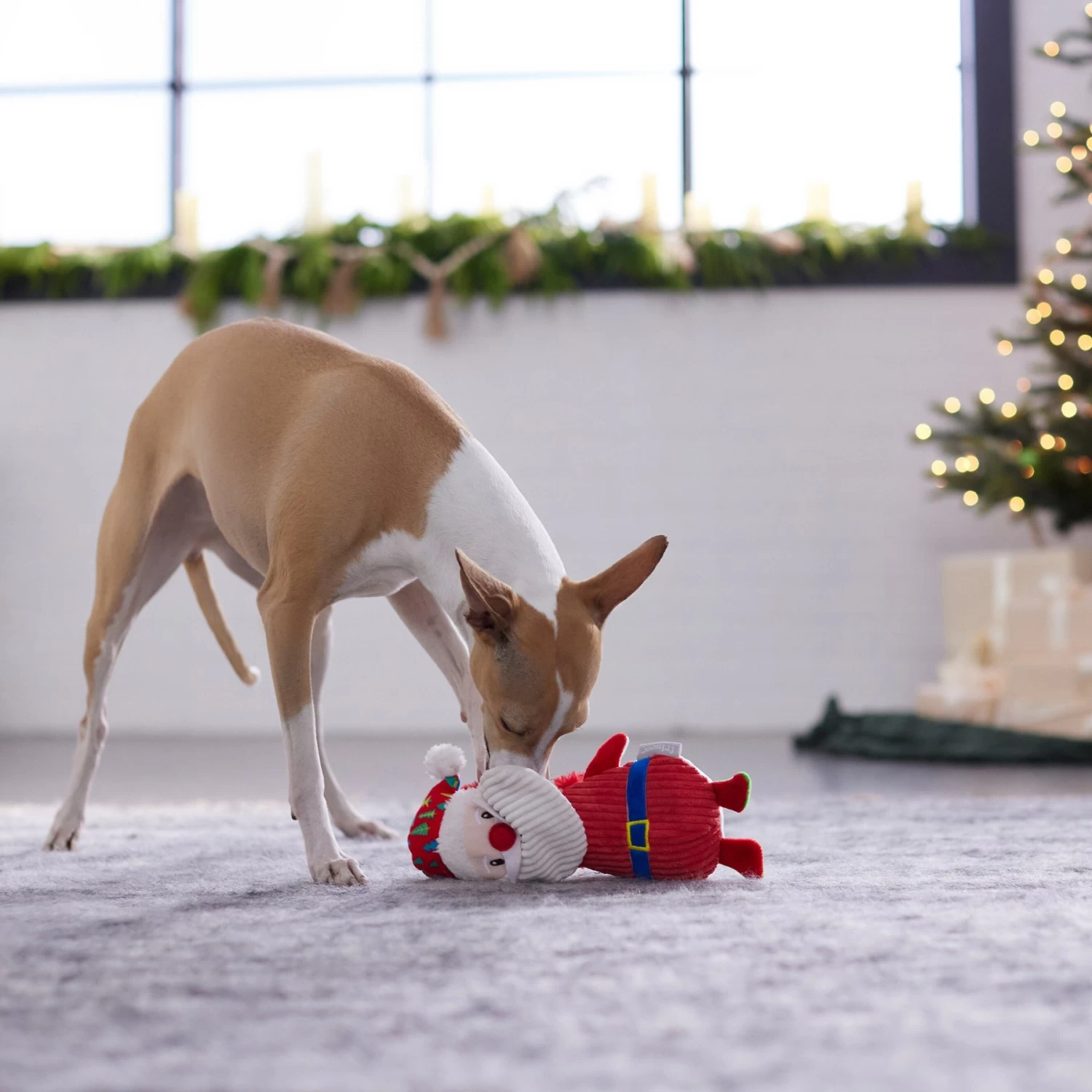 Frisco Holiday Santa & Snowman Reversible Plush Squeaky Dog Toy 4 Frisco Holiday Santa & Snowman Reversible Plush Squeaky Dog Toy - Image 4