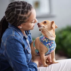 Frisco Fashion Over-The-Head Harness, Tropical Floral -Frisco 287476 PT8. AC SS1800 V1632316953