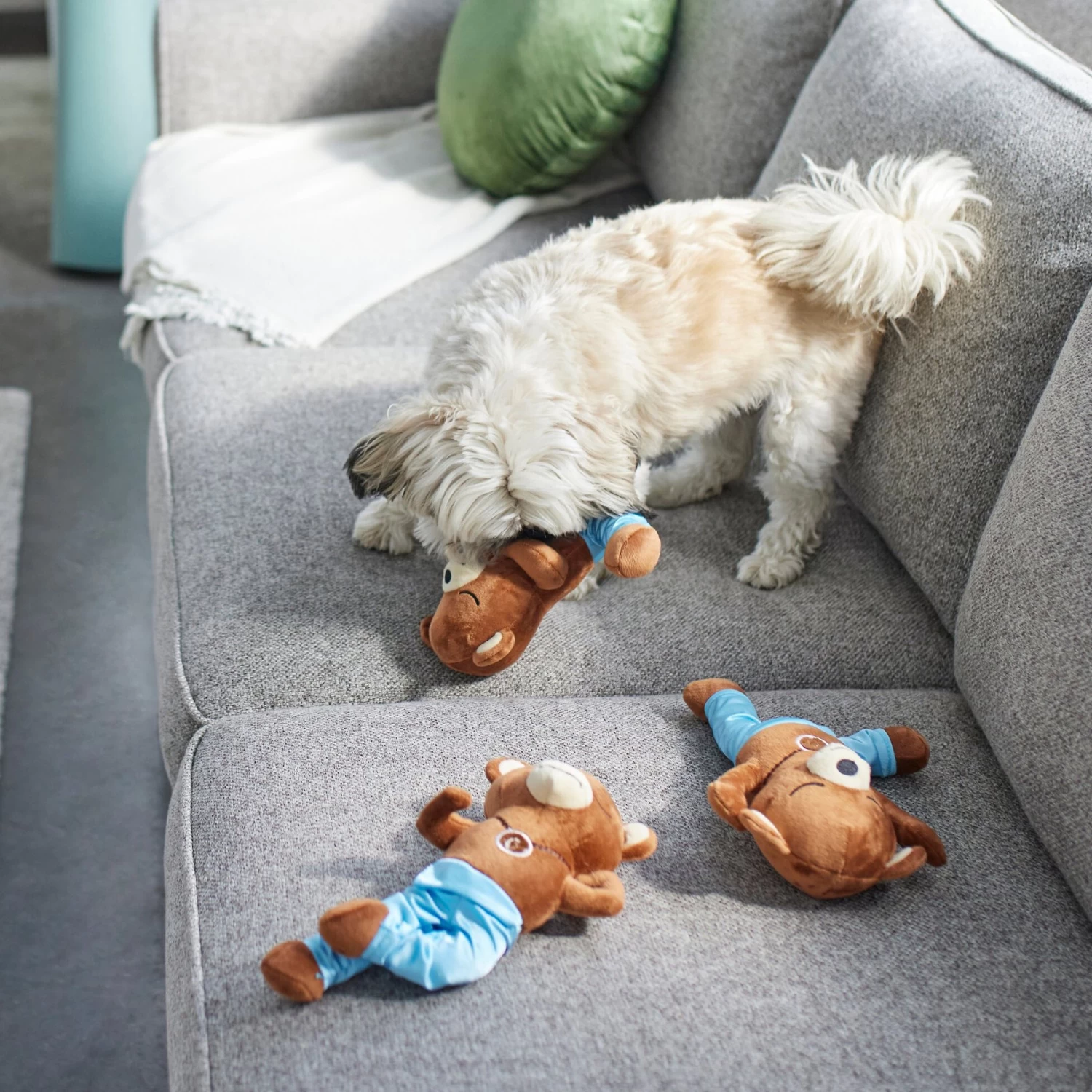 Frisco New Year, New Me Namaste Bear Plush Squeaky Dog Toy 3 Frisco New Year, New Me Namaste Bear Plush Squeaky Dog Toy - Image 3