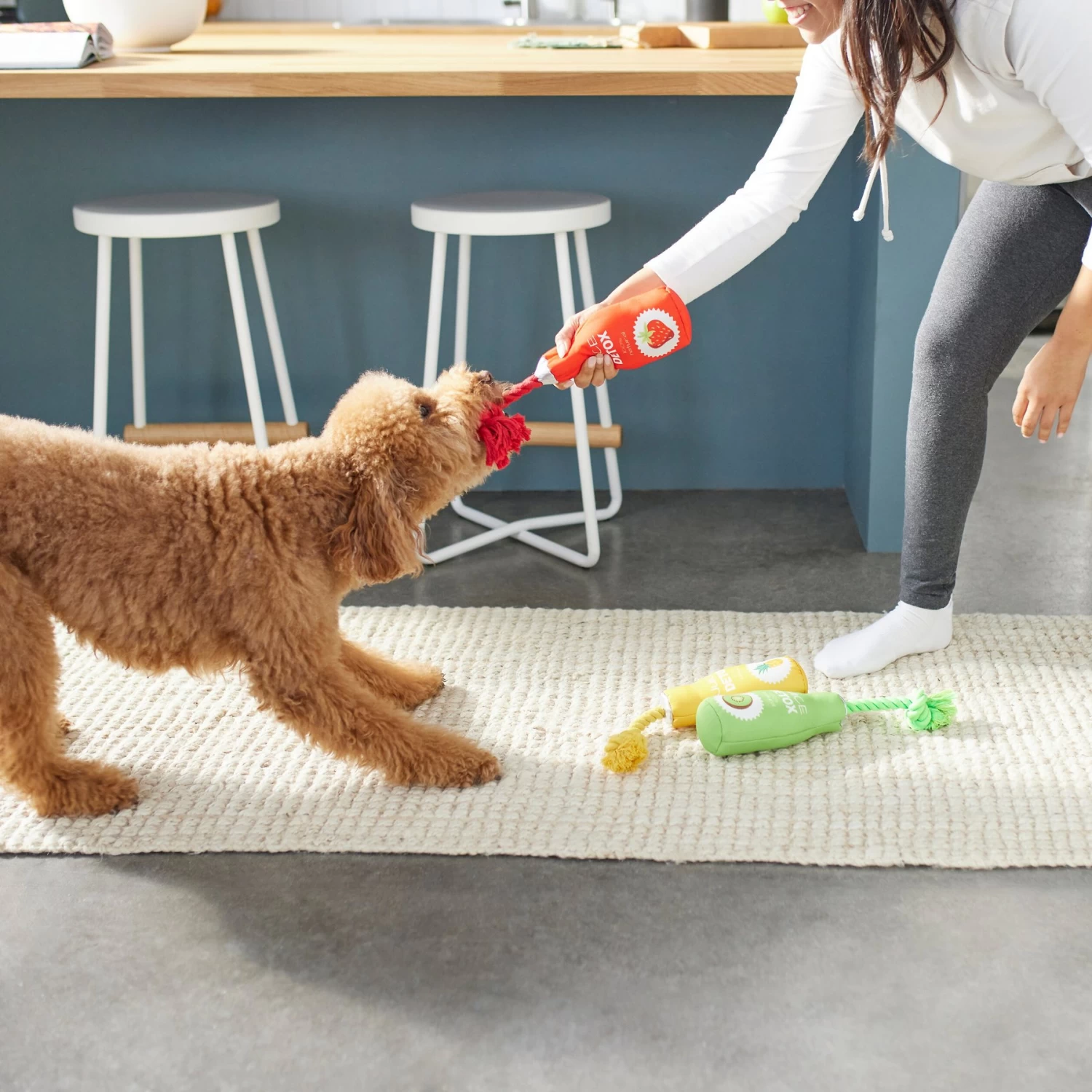 Frisco New Year, New Me Juice Cleanse Plush Squeaky Dog Toy 3 Frisco New Year, New Me Juice Cleanse Plush Squeaky Dog Toy - Image 3