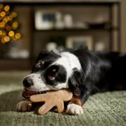 Frisco Nylon Gingerbread Dog Chew Toy, Beef Flavor, Medium -Frisco 291385 PT3. AC SS1800 V1668108316