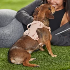 Frisco Comfort Padded Dog Harness -Frisco 291539 PT8. AC SS1800 V1650490890