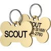 Frisco Brass Personalized Dog ID Tag