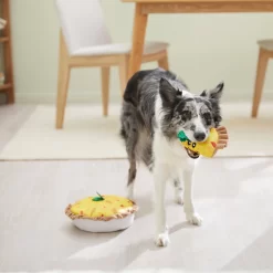 Frisco Brunch Quiche 2-in-1 Plush Squeaky Dog Toy -Frisco 297248 PT3. AC SS1800 V1642089163