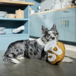 Frisco Brunch Cinnamon Roll Jumbo Plush Squeaky Dog Toy -Frisco 297260 PT2. AC SS1800 V1642089012