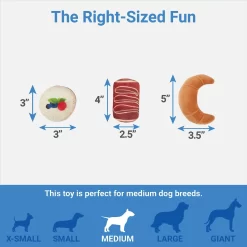 Frisco Brunch Pastry Plate Plush Squeaky Dog Toy 6 Frisco Brunch Pastry Plate Plush Squeaky Dog Toy -Frisco 297262 PT2. AC SS1800 V1643916710