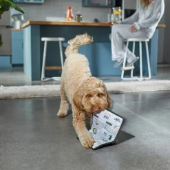 Frisco Brunch Menu Ballistic Nylon Flat Plush Squeaky Dog Toy -Frisco 297276 PT2. AC SS1800 V1642088788