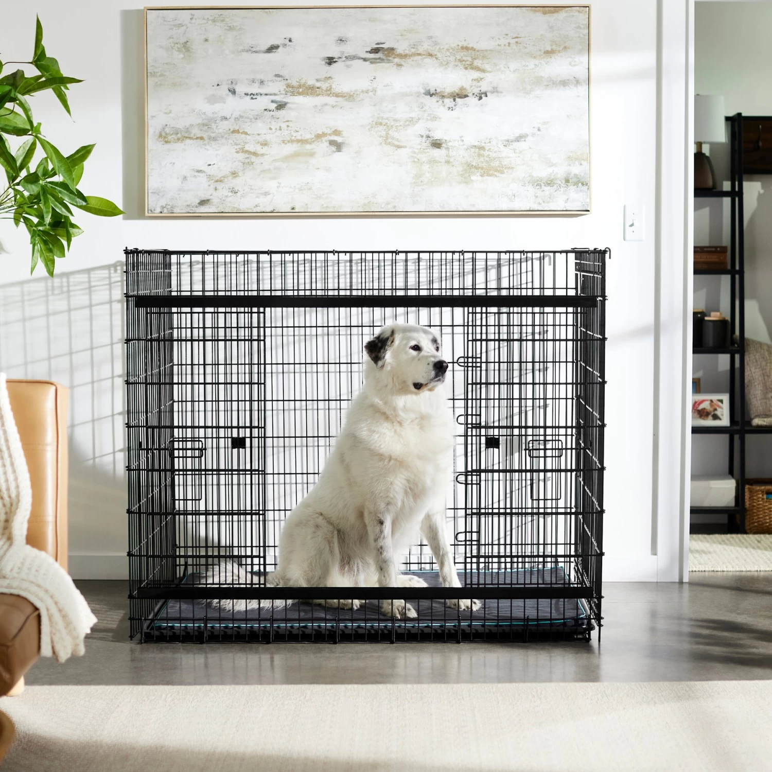 Frisco Heavy Duty Enhanced Lock Sliding Double Door Fold & Carry Wire Dog Crate & Mat Kit, 54 Inch 1 Frisco Heavy Duty Enhanced Lock Sliding Double Door Fold & Carry Wire Dog Crate & Mat Kit, 54 Inch