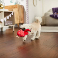 Frisco Valentine Anatomical Heart Plush Squeaky Dog Toy -Frisco 298933 PT3. AC SS1800 V1638987632