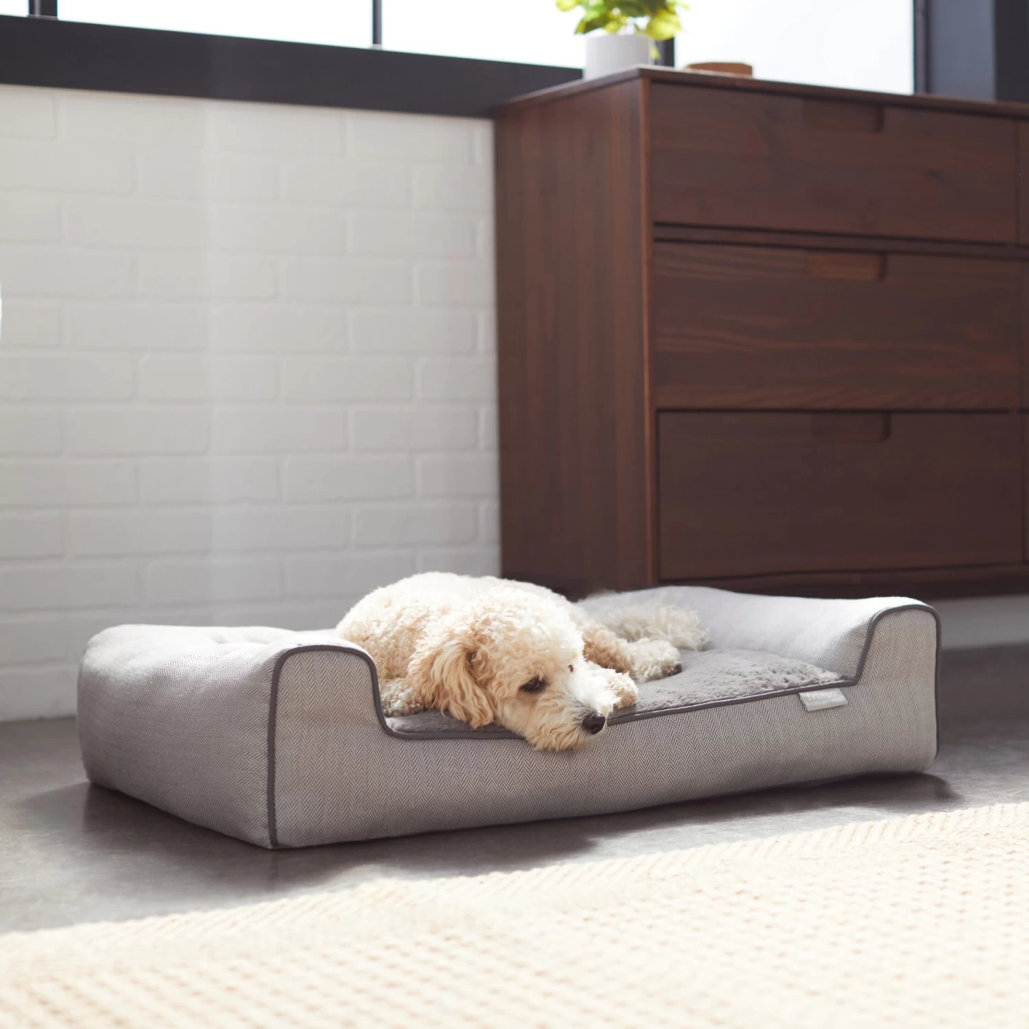 Frisco Herringbone Modern Couch Dog & Cat Bed 1 Frisco Herringbone Modern Couch Dog & Cat Bed