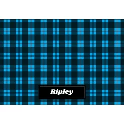 Frisco Plaid Personalized Dog & Cat Placemat -Frisco 299564 PT2. AC SS1800 V1636048655