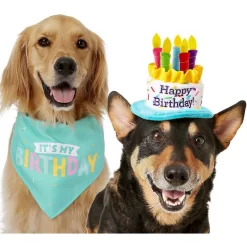 Frisco Dog & Cat Birthday Bandana & Frisco Birthday Cake Dog & Cat Hat -Frisco 302374 PT2. AC SS1800 V1633061815