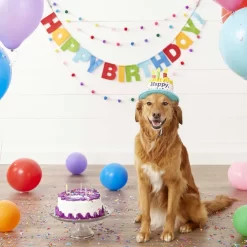 Frisco Dog & Cat Birthday Bandana & Frisco Birthday Cake Dog & Cat Hat -Frisco 302374 PT6. AC SS1800 V1633067816