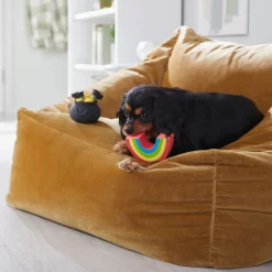 Frisco St. Patrick's Rainbow And Pot Of Gold Latex Squeaky Dog Toy -Frisco 303136 PT4. AC SS1800 V1702500566