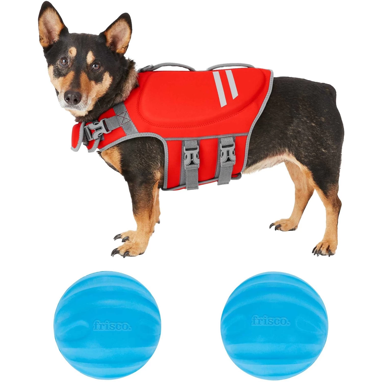 Frisco Neoprene Dog Life Jacket & Frisco Foam Rubber Floating Fetch Ball No Squeak Dog Toy 1 Frisco Neoprene Dog Life Jacket & Frisco Foam Rubber Floating Fetch Ball No Squeak Dog Toy