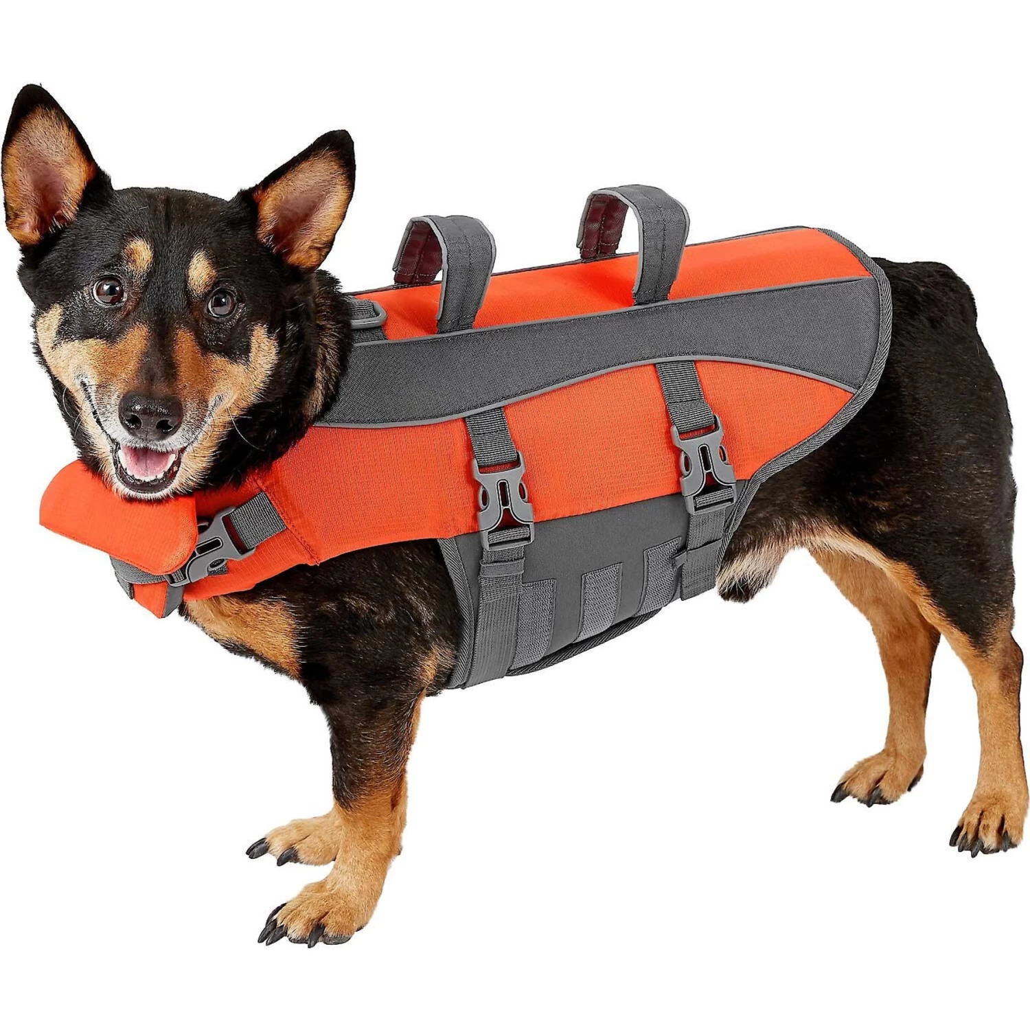 Frisco Ripstop Dog Life Jacket & Frisco Foam Rubber Floating Fetch Ball No Squeak Dog Toy 2 Frisco Ripstop Dog Life Jacket & Frisco Foam Rubber Floating Fetch Ball No Squeak Dog Toy - Image 2