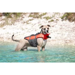 Frisco Ripstop Dog Life Jacket & Frisco Foam Rubber Floating Fetch Ball No Squeak Dog Toy 12 Frisco Ripstop Dog Life Jacket & Frisco Foam Rubber Floating Fetch Ball No Squeak Dog Toy -Frisco 303546 PT4. AC SS1800 V1623046643