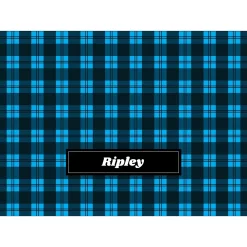 Frisco Personalized Plaid Soft Fleece Cat & Dog Blanket, 30" X 40" -Frisco 303999 PT4. AC SS1800 V1637610236
