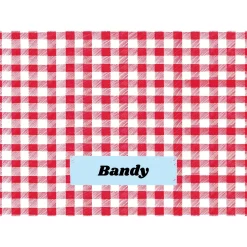 Frisco Personalized Gingham Plaid Soft Fleece Cat & Dog Blanket, 30" X 40" -Frisco 304001 PT4. AC SS1800 V1637609279