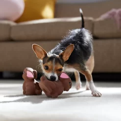 Frisco Easter Chocolate Bunnies Latex Squeaky Dog Toy 6 Frisco Easter Chocolate Bunnies Latex Squeaky Dog Toy -Frisco 304956 PT4. AC SS1800 V1700162989