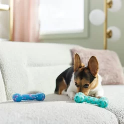 Frisco Easter TPR Bone Squeaky Dog Toy, Medium/Large, 2 Count 8 Frisco Easter TPR Bone Squeaky Dog Toy, Medium/Large, 2 Count -Frisco 304966 PT4. AC SS1800 V1670608502